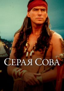 Серая сова 1998