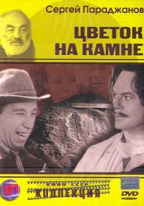 Цветок на камне 1962