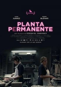 Planta permanente 2019