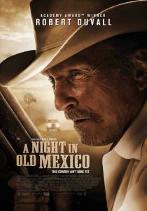 Ночь в старой Мексике 2013