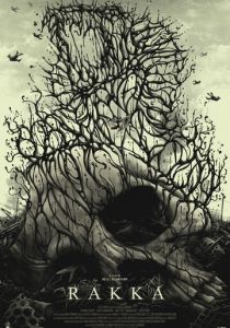 Ракка 2017