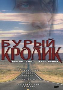 Бурый кролик 2003