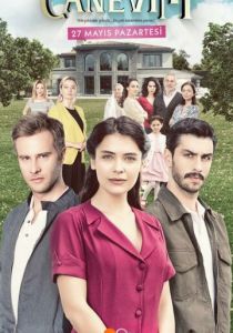 Сериал Сокровенное 2019