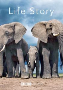 Сериал История жизни 2014