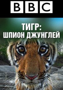 Сериал BBC: Тигр - шпион джунглей 2008