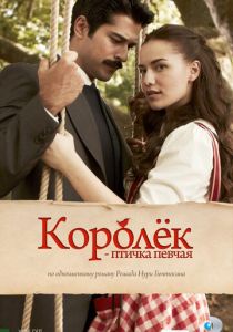 Сериал Королёк - птичка певчая 2013