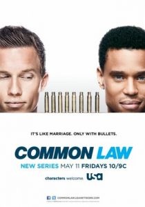 Сериал Общее дело 2012