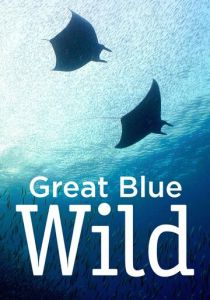 Сериал Great Blue Wild 2015