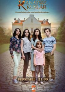 Сериал Птицы без крыльев 2017