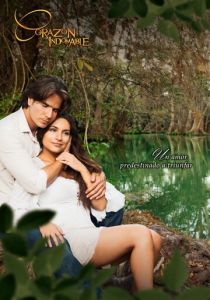 Сериал Непокорное сердце 2013