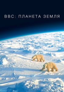 Сериал BBC: Планета Земля 2006