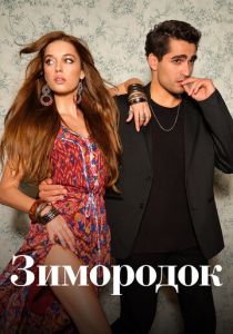 Фильм Зимородок 2022