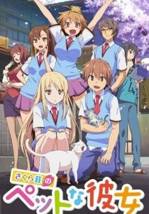 Кошечка из «Сакурасо» 2012