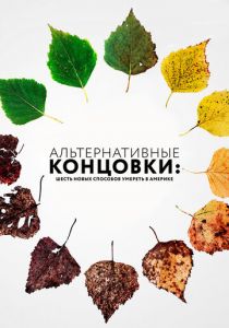 Альтернативные концовки: Шесть новых способов умереть в Америке 2019