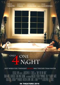 Только на одну ночь 2016