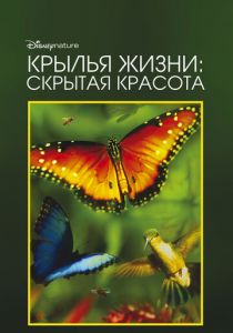 Крылья жизни: Скрытая красота 2011