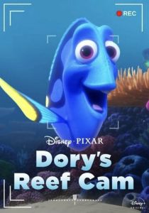 Dory's Reef Cam 2020