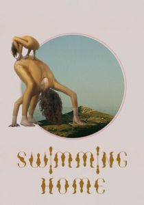 Заплыв домой 2024