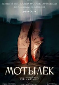 Мотылёк 2024