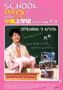 Класс, в котором был поросёнок 2008