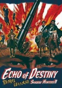 Эхо судьбы 1972