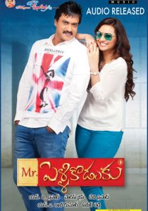 Мистер Жених 2013