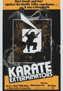 Молния кунг-фу 1980