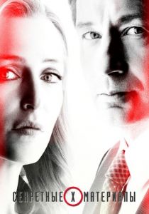 Секретные материалы 1993