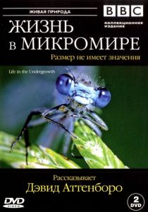 BBC: Жизнь в микромире 2005