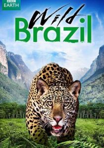 Дикая Бразилия 2014