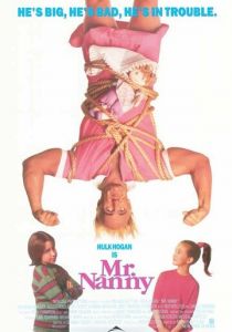 Мистер Няня 1993