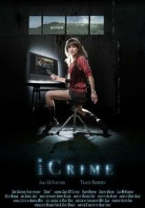 Преступление по интернету 2010