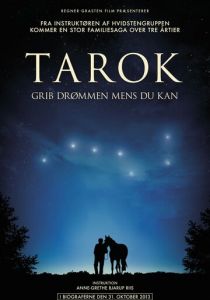 Поймать мечту 2013