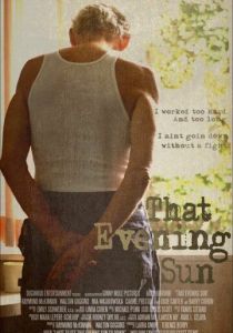 Это вечернее солнце 2009