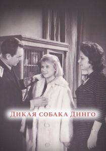 Дикая собака динго 1962