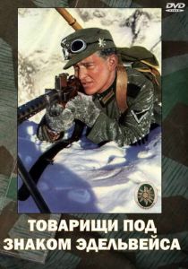 Товарищи под знаком «Эдельвейса» 1943