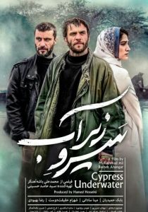 Кипарис под водой 2018