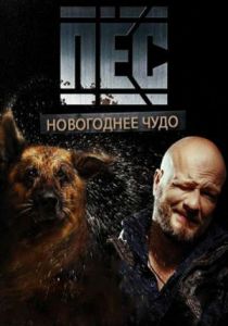 Пёс. Новогоднее чудо 2018