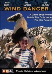 Танцующий с ветром 1993