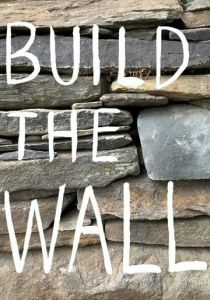 Построить стену 2020