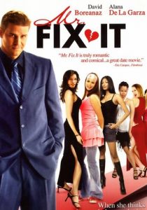 Мистер «Всё исправим» 2006