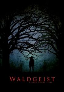 Waldgeist 2017