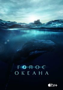Голос океана 2021