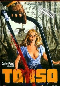 Торсо 1973