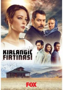 Шторм ласточки 2017