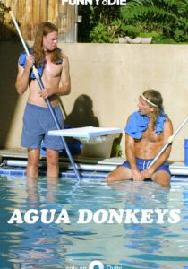 Agua Donkeys 2020