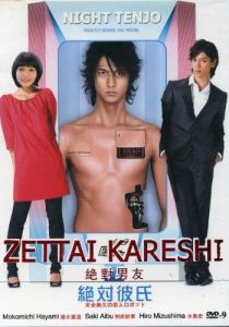 Идеальный парень 2008