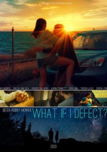 What if I Defect? 2020