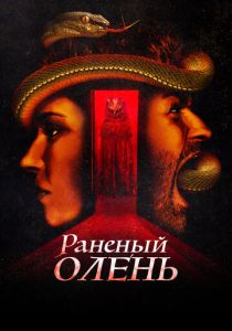 Раненый оленёнок 2022