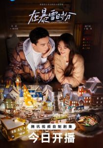 Во время снежной бури 2024